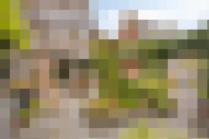 Torenlaan 35 Zuid-Beijerland thumbnail 30