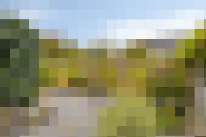 Torenlaan 35 Zuid-Beijerland thumbnail 31