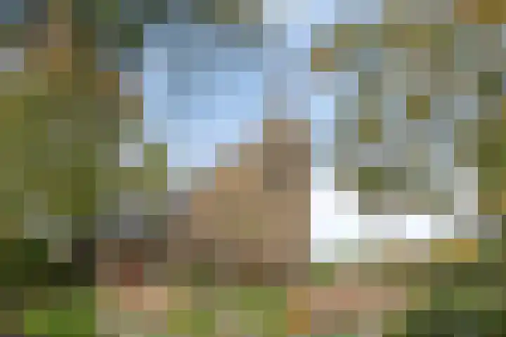 Torenlaan 35 Zuid-Beijerland thumbnail 32