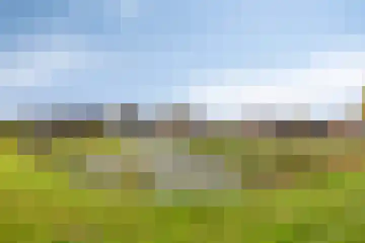 Torenlaan 35 Zuid-Beijerland thumbnail 33