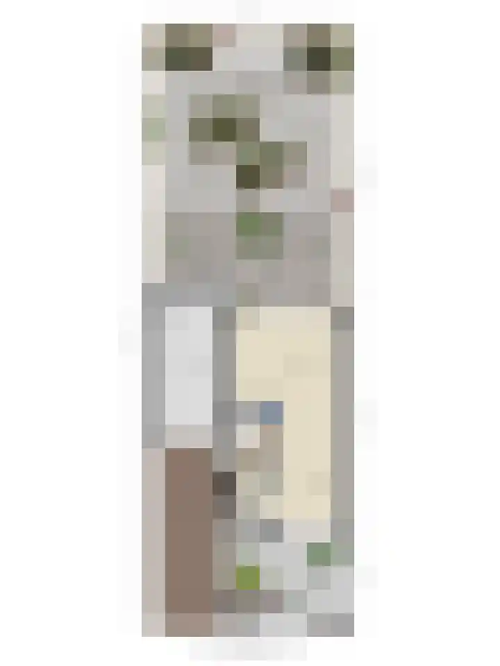 Torenlaan 35 Zuid-Beijerland thumbnail 36