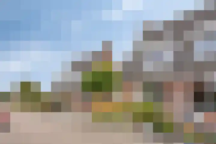 Torenlaan 35 Zuid-Beijerland thumbnail 4