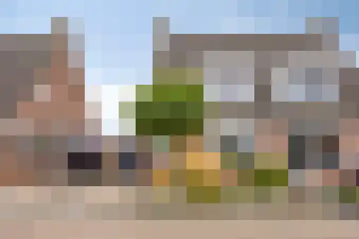 Torenlaan 35 Zuid-Beijerland thumbnail 5