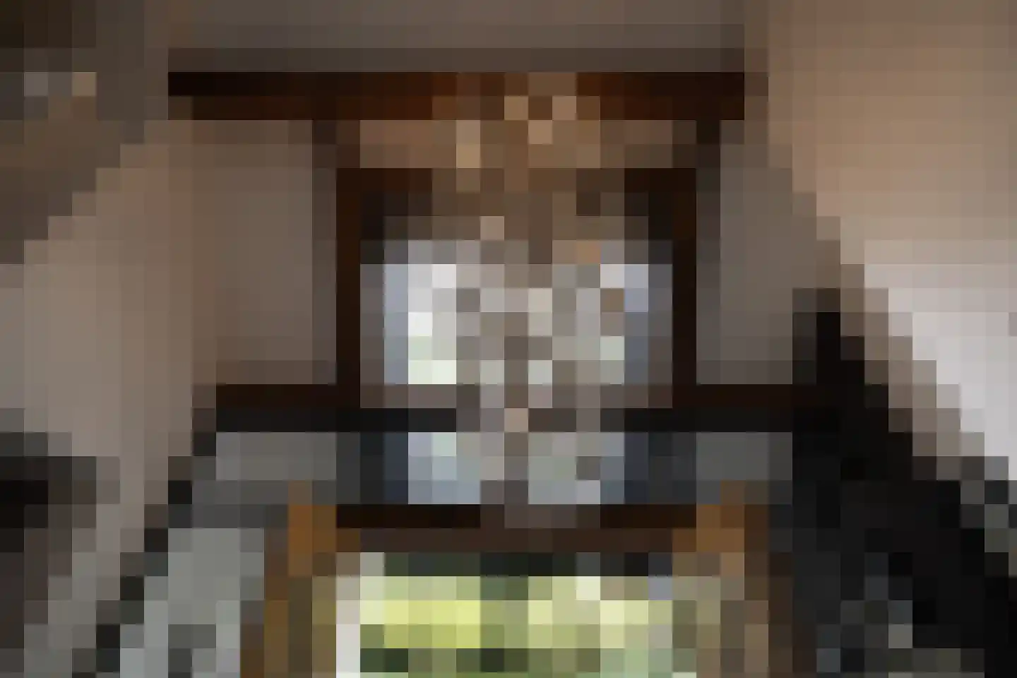 Torenlaan 38 Blaricum thumbnail 10