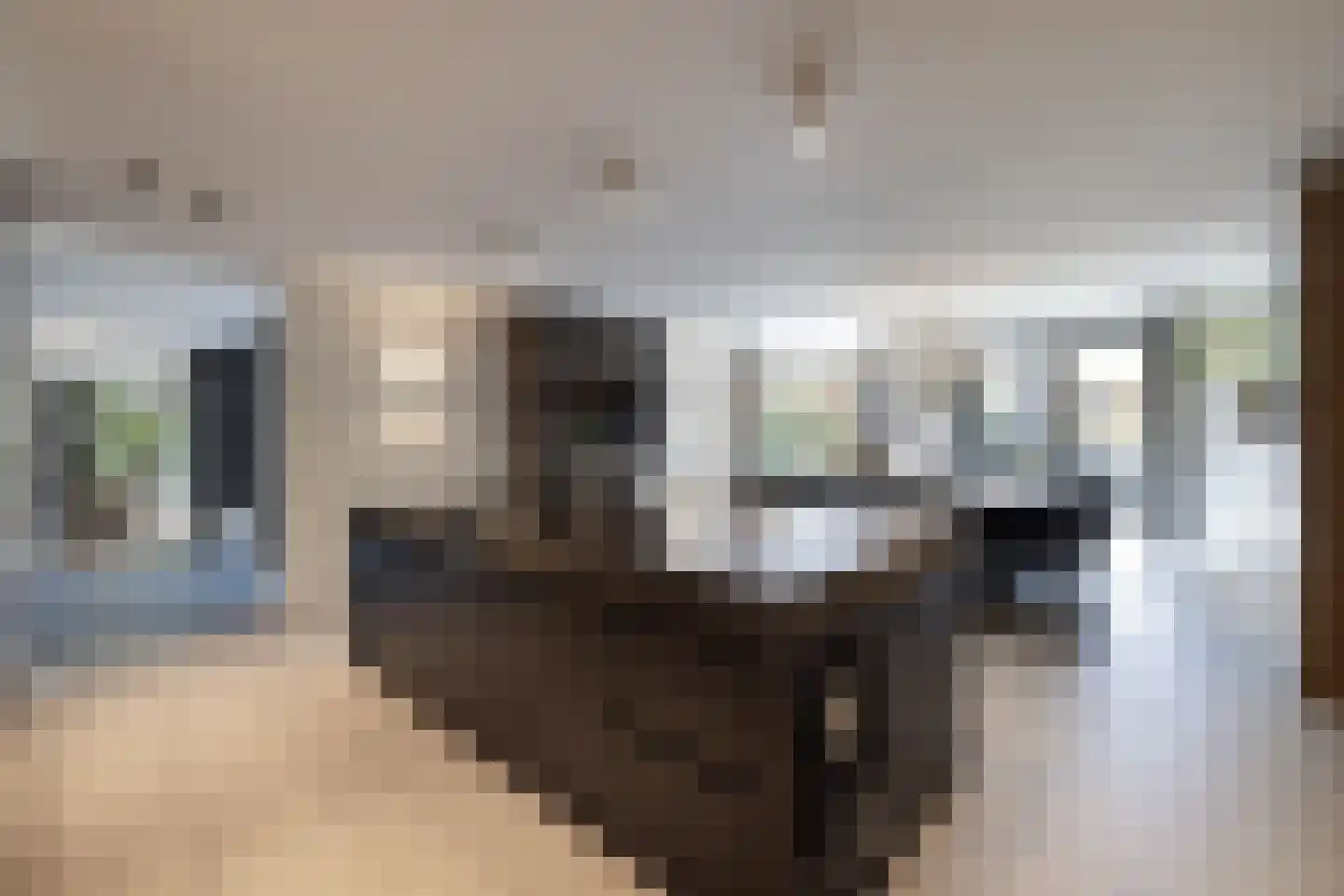 Torenlaan 38 Blaricum thumbnail 11