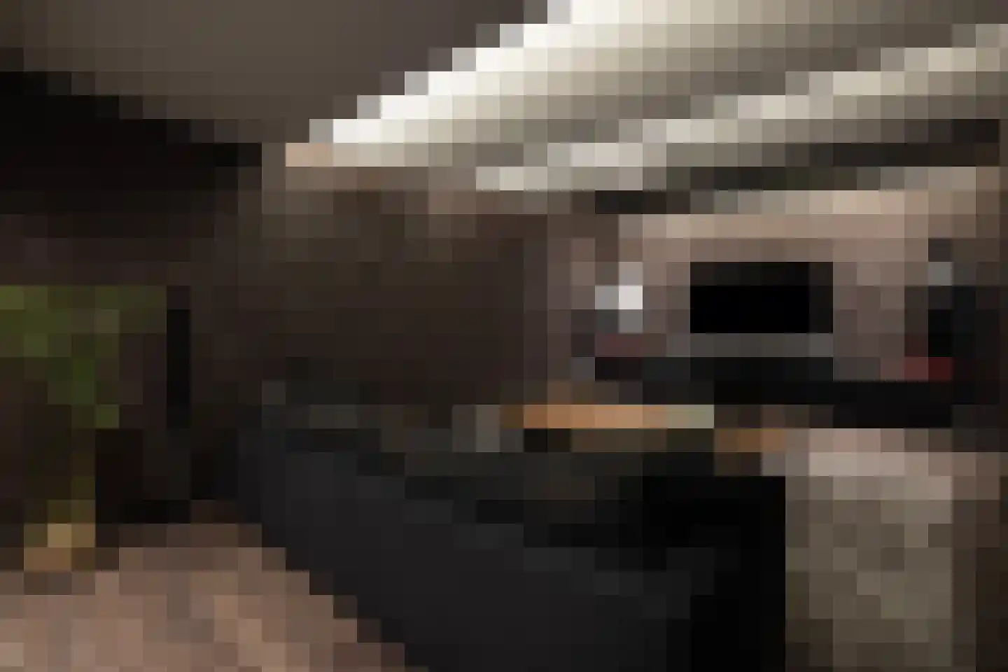 Torenlaan 38 Blaricum thumbnail 15