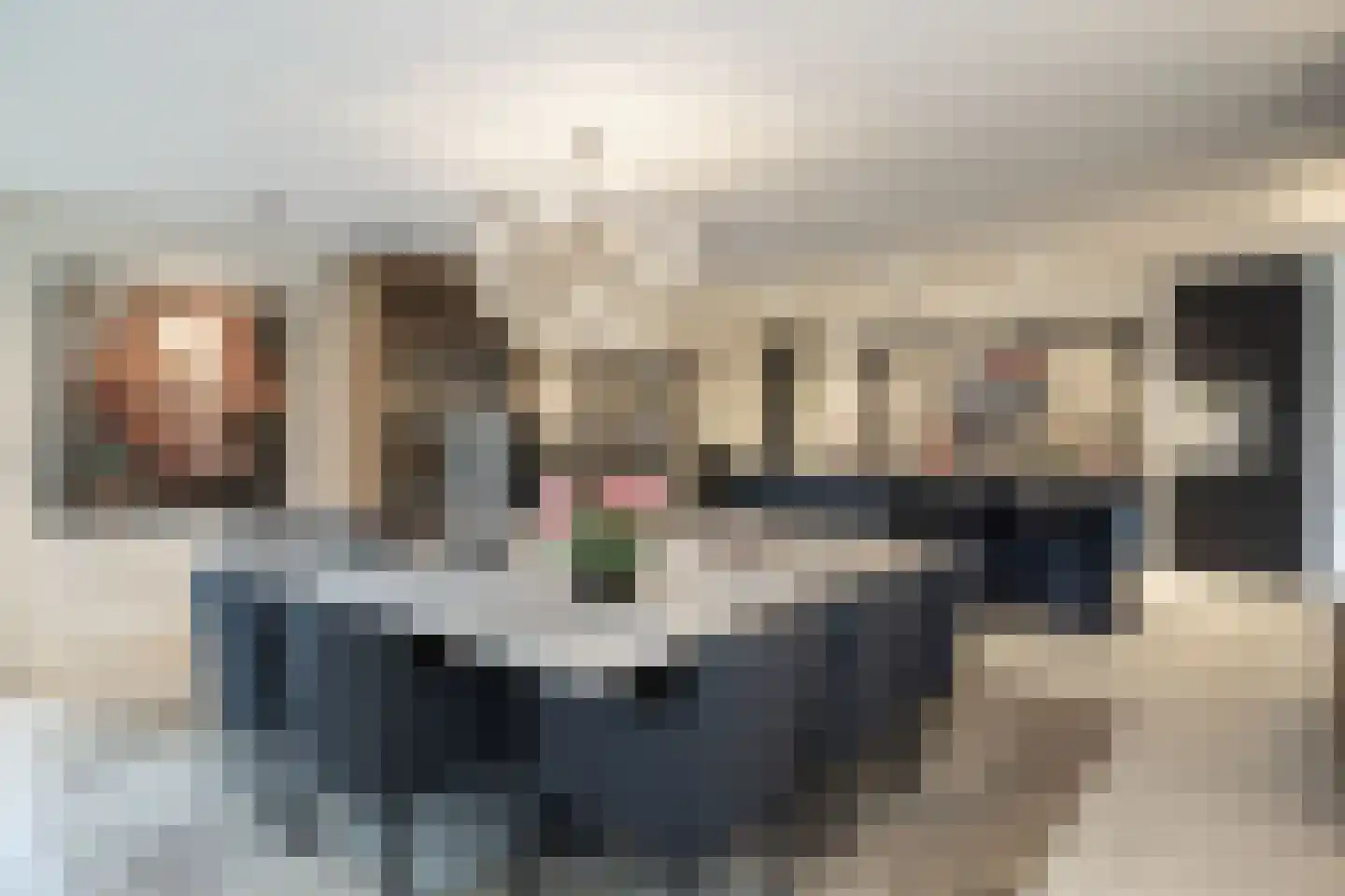 Torenlaan 38 Blaricum thumbnail 15