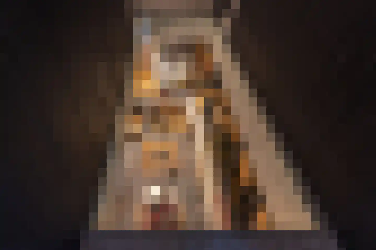 Torenlaan 38 Blaricum thumbnail 20