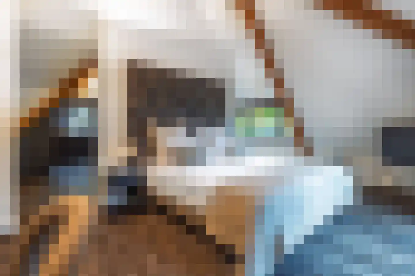 Torenlaan 38 Blaricum thumbnail 29