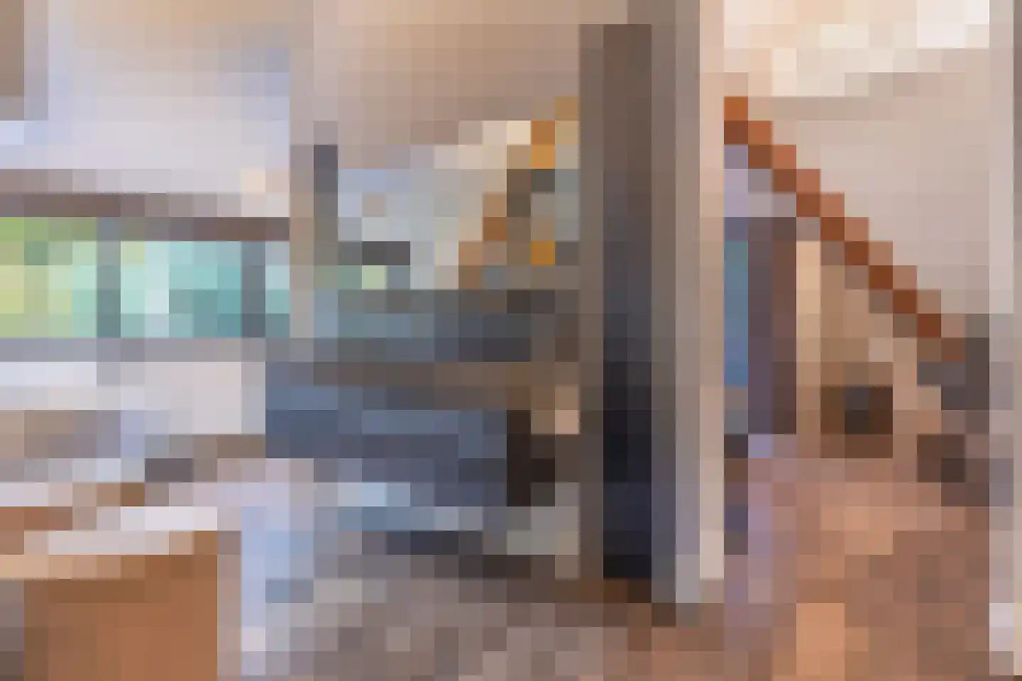 Torenlaan 38 Blaricum thumbnail 30