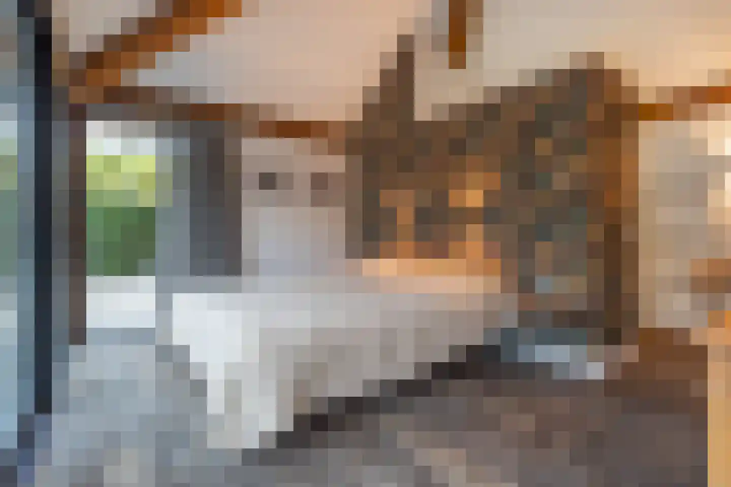 Torenlaan 38 Blaricum thumbnail 34