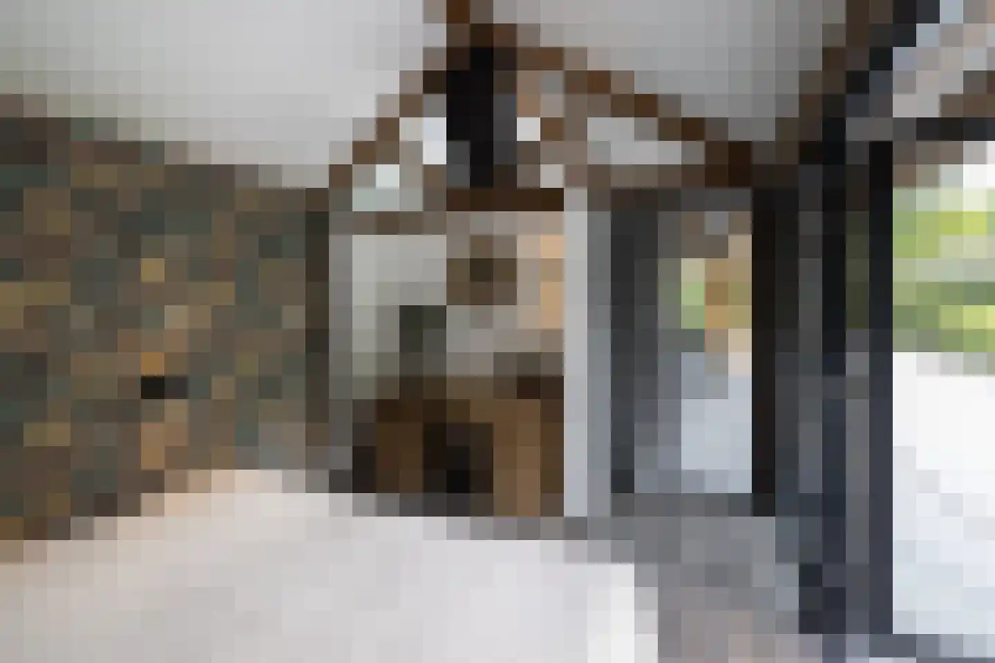 Torenlaan 38 Blaricum thumbnail 37