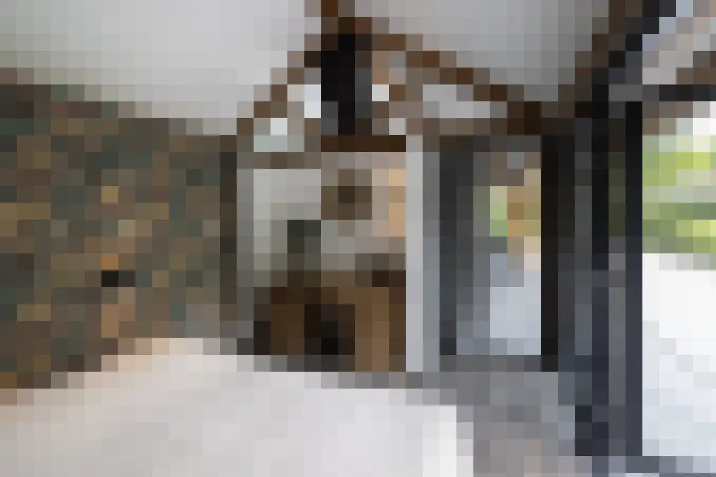 Torenlaan 38 Blaricum thumbnail 38