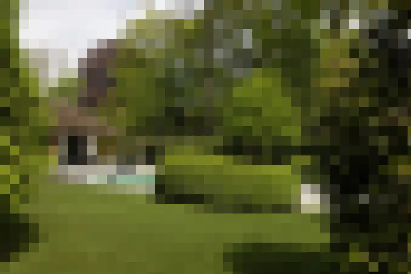 Torenlaan 38 Blaricum thumbnail 47