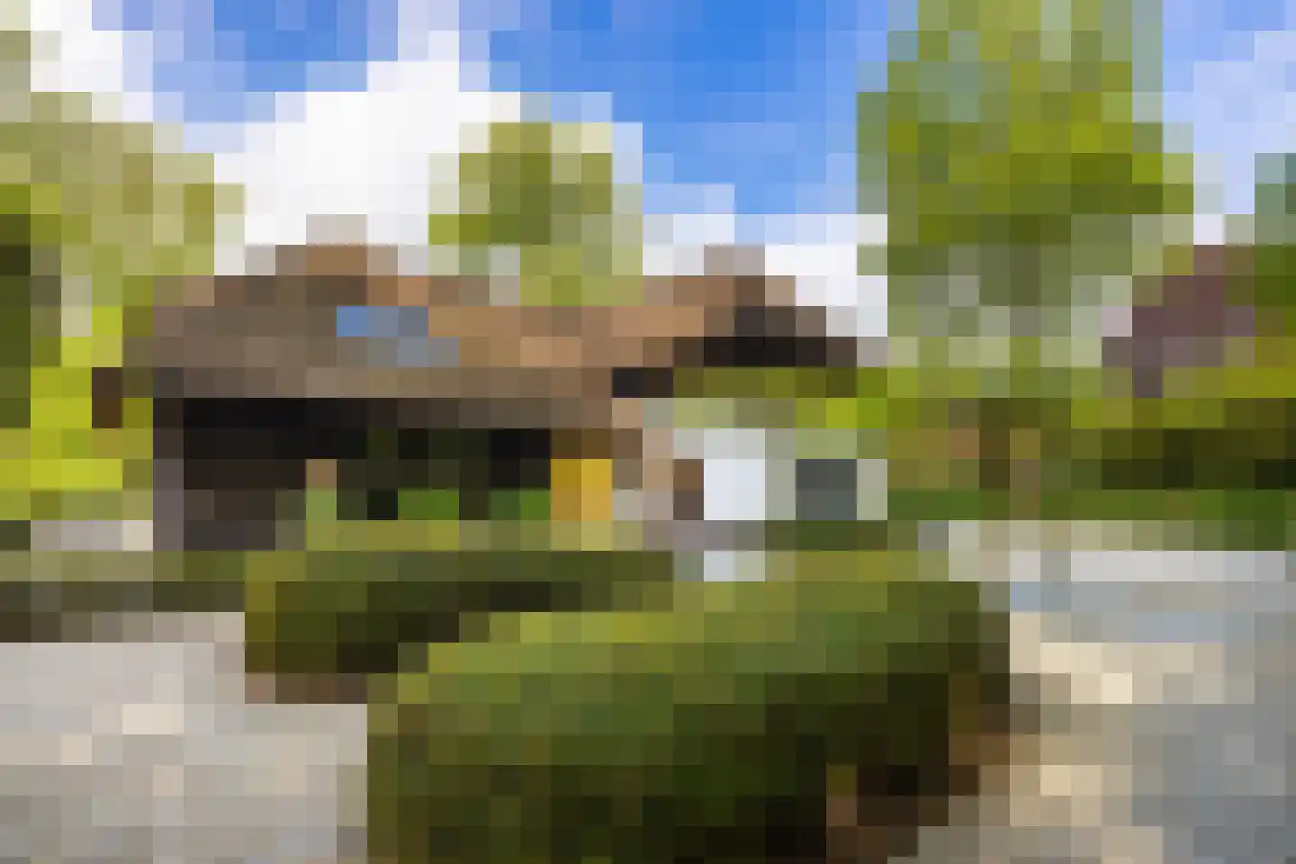 Torenlaan 38 Blaricum thumbnail 6
