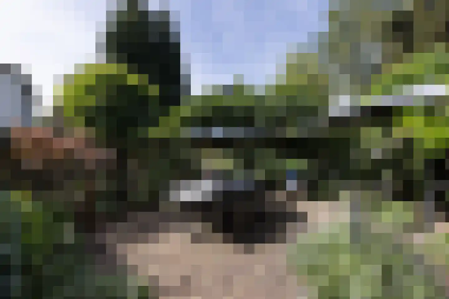 Torenlaan 42 Hilversum thumbnail 28