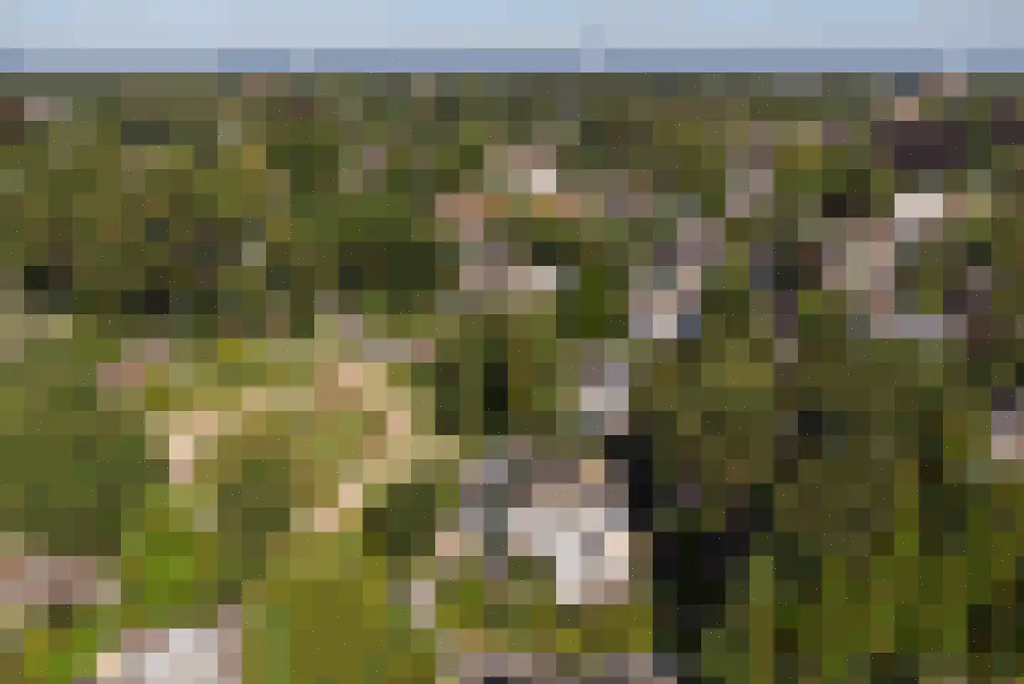 Torenlaan 42 Hilversum thumbnail 32