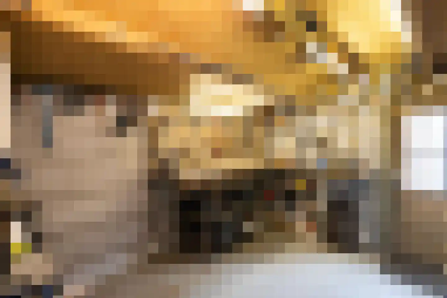Torenlaan 42 Hilversum thumbnail 34