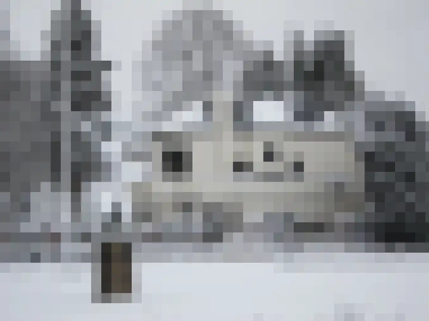 Torenlaan 42 Hilversum thumbnail 36