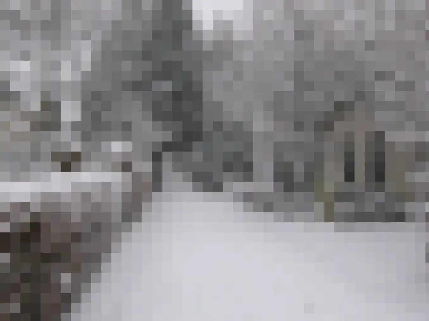 Torenlaan 42 Hilversum thumbnail 37