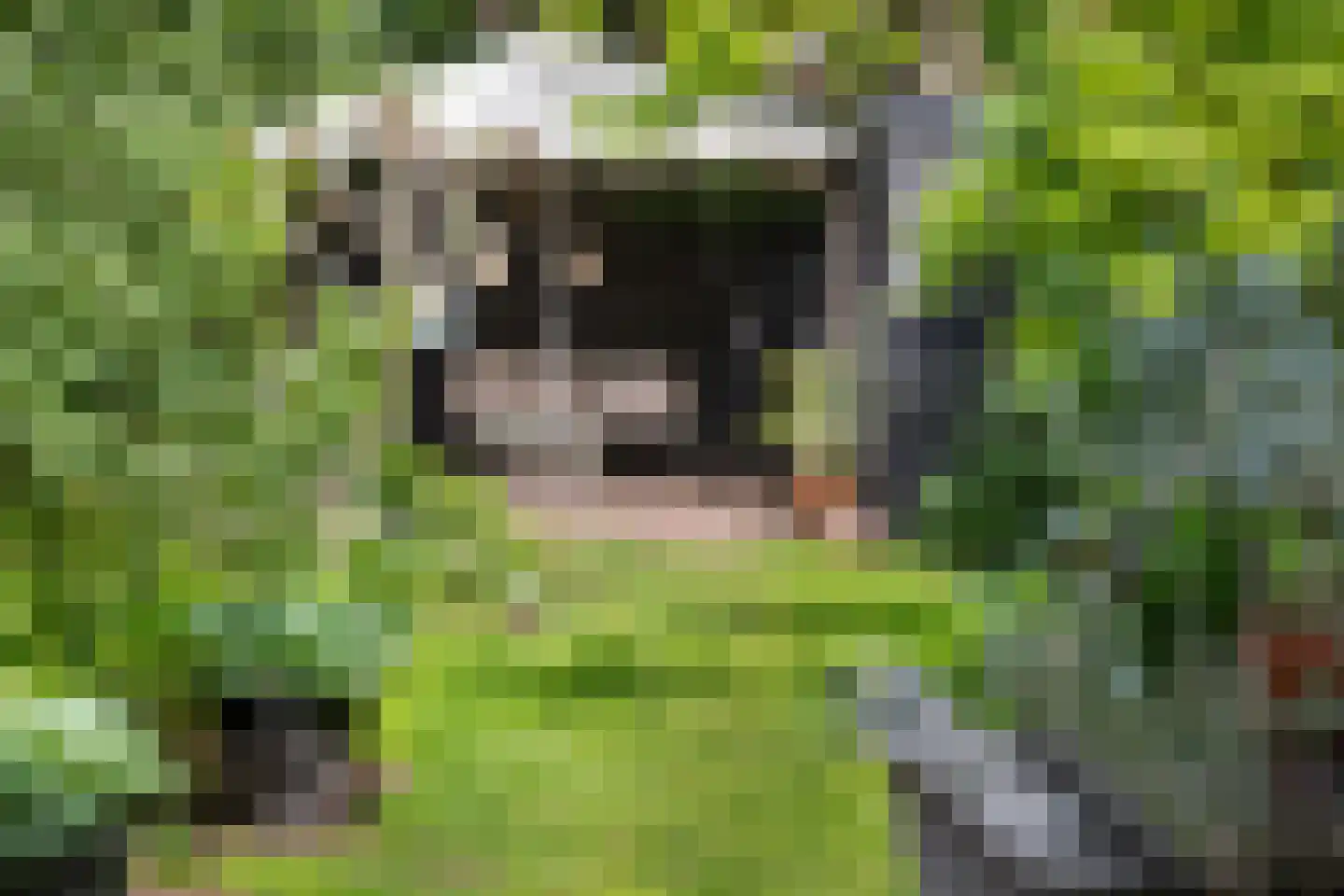 Torenlaan 49 Rotterdam thumbnail 17