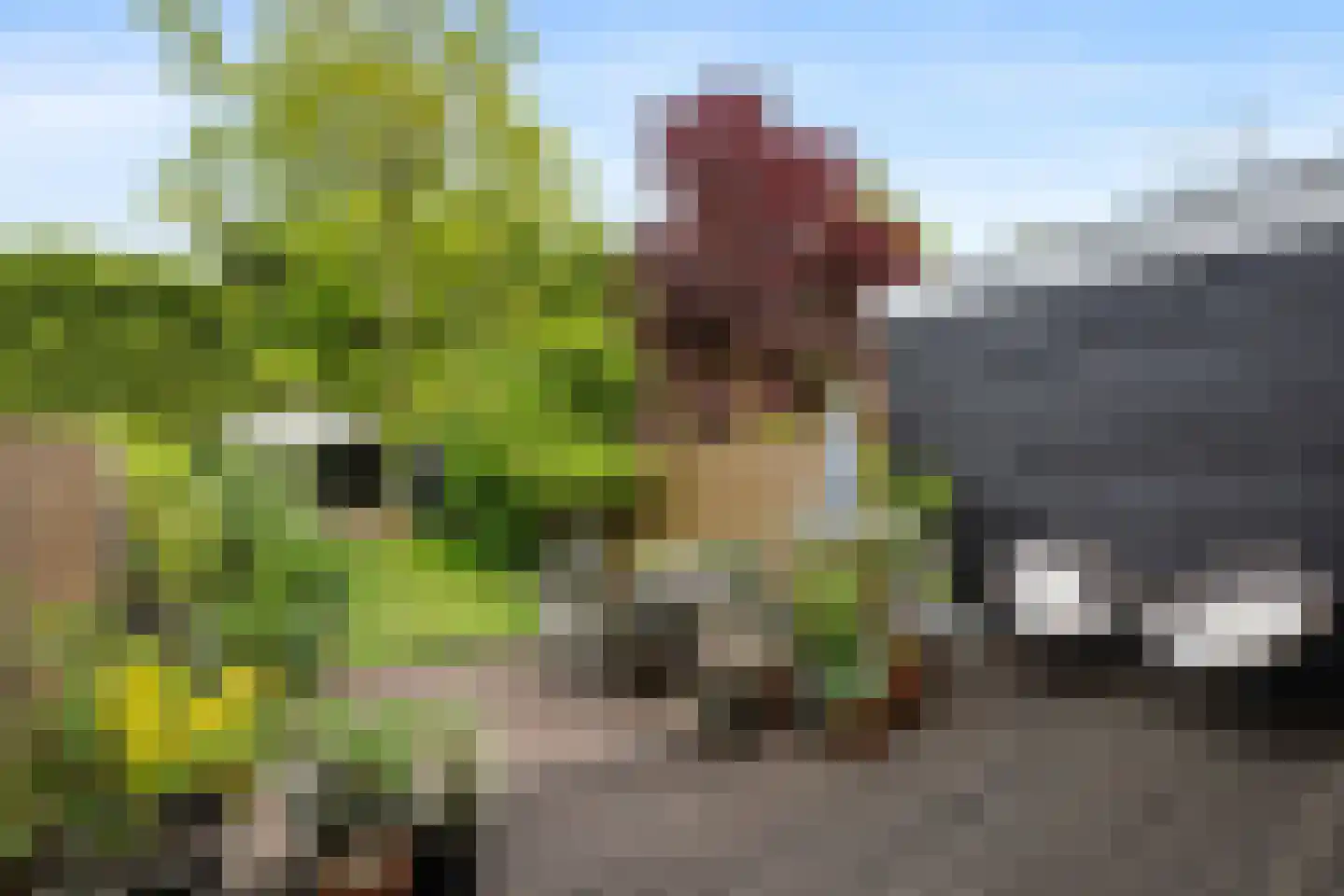 Torenlaan 49 Rotterdam thumbnail 18