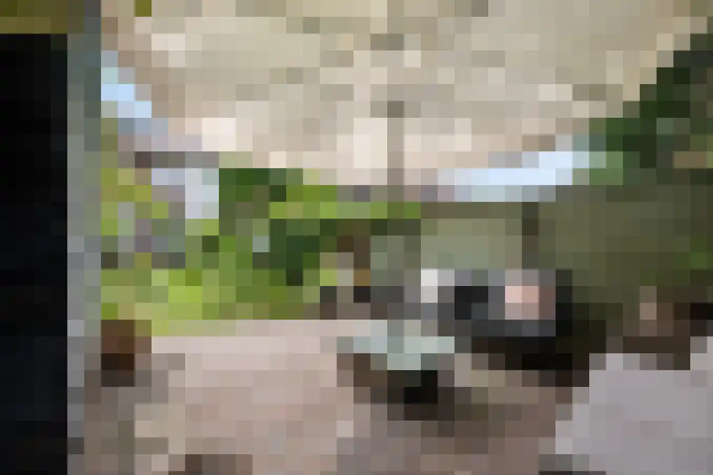 Torenlaan 49 Rotterdam thumbnail 19