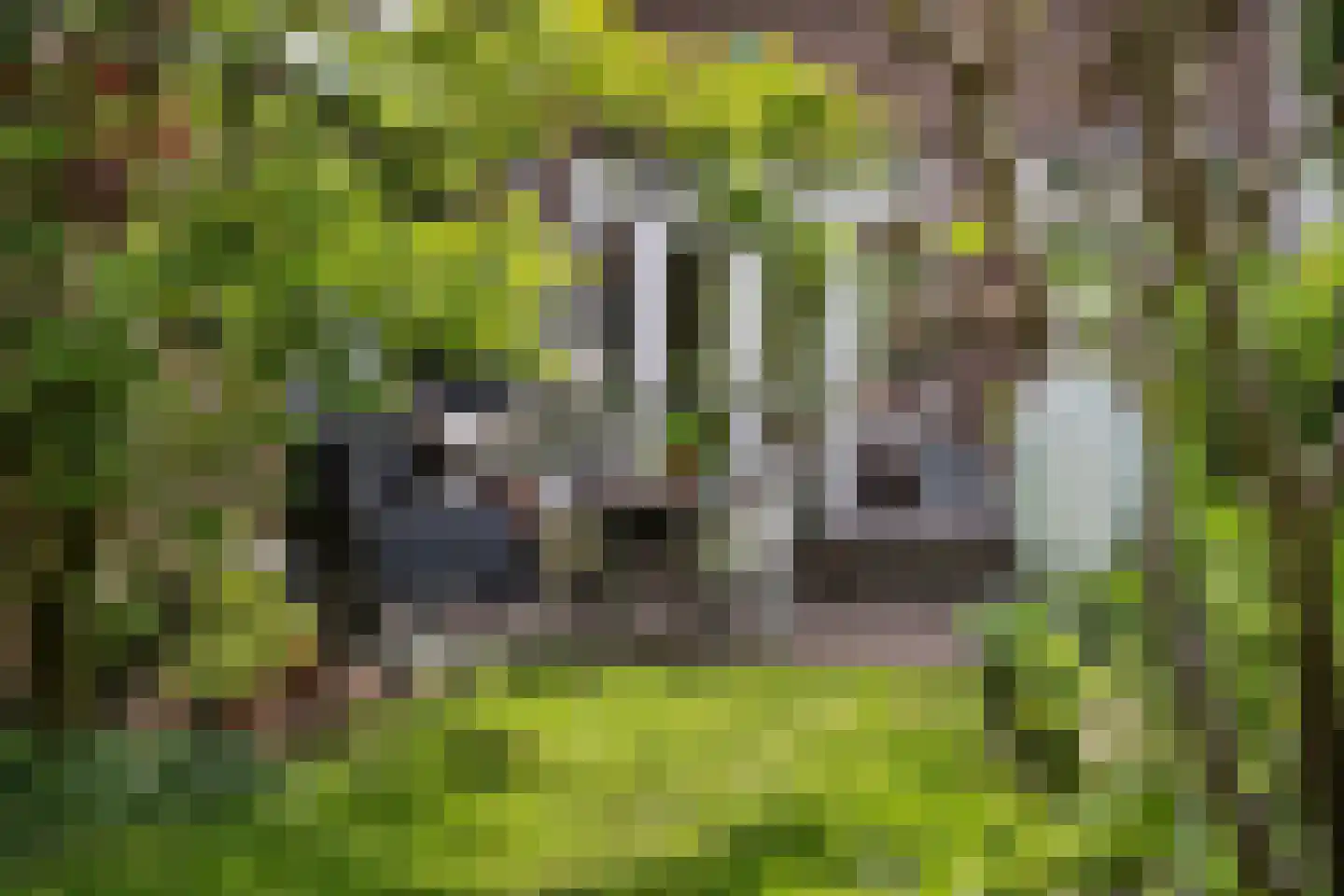 Torenlaan 49 Rotterdam thumbnail 4
