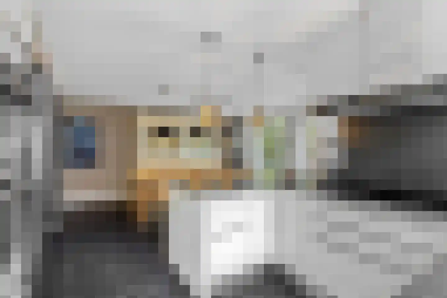 Torenlaan 5 Baarn thumbnail 13