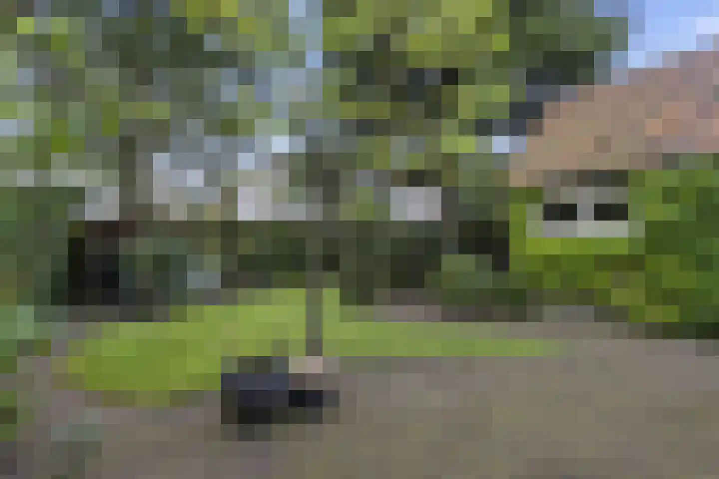 Torenlaan 5 Baarn thumbnail 29