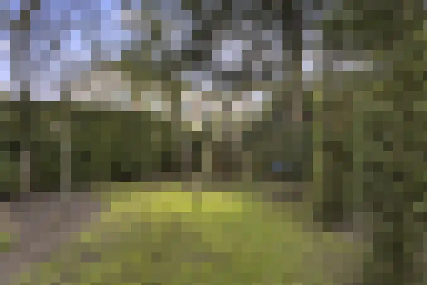Torenlaan 5 Baarn thumbnail 31