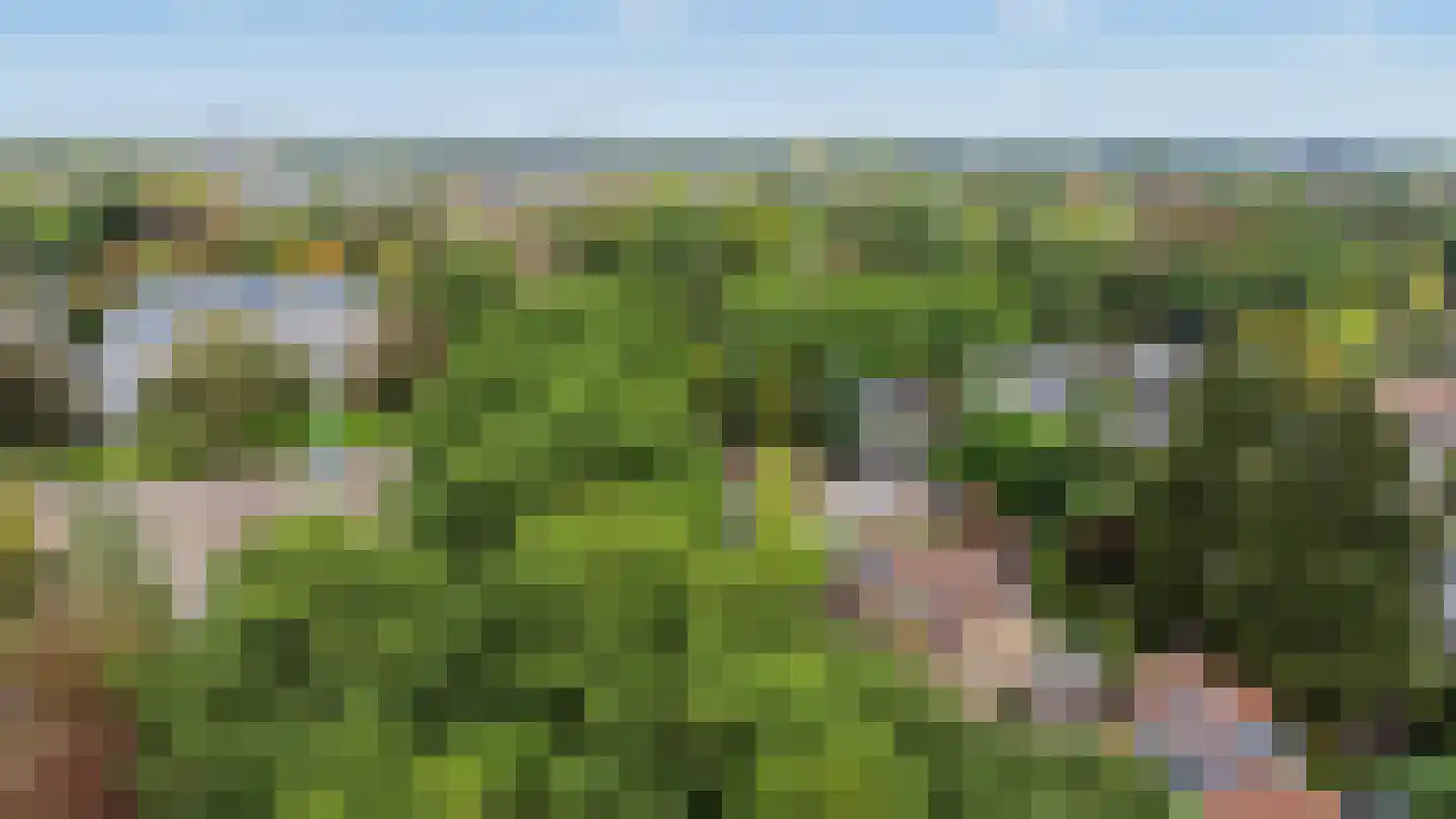 Torenlaan 5 Baarn thumbnail 33