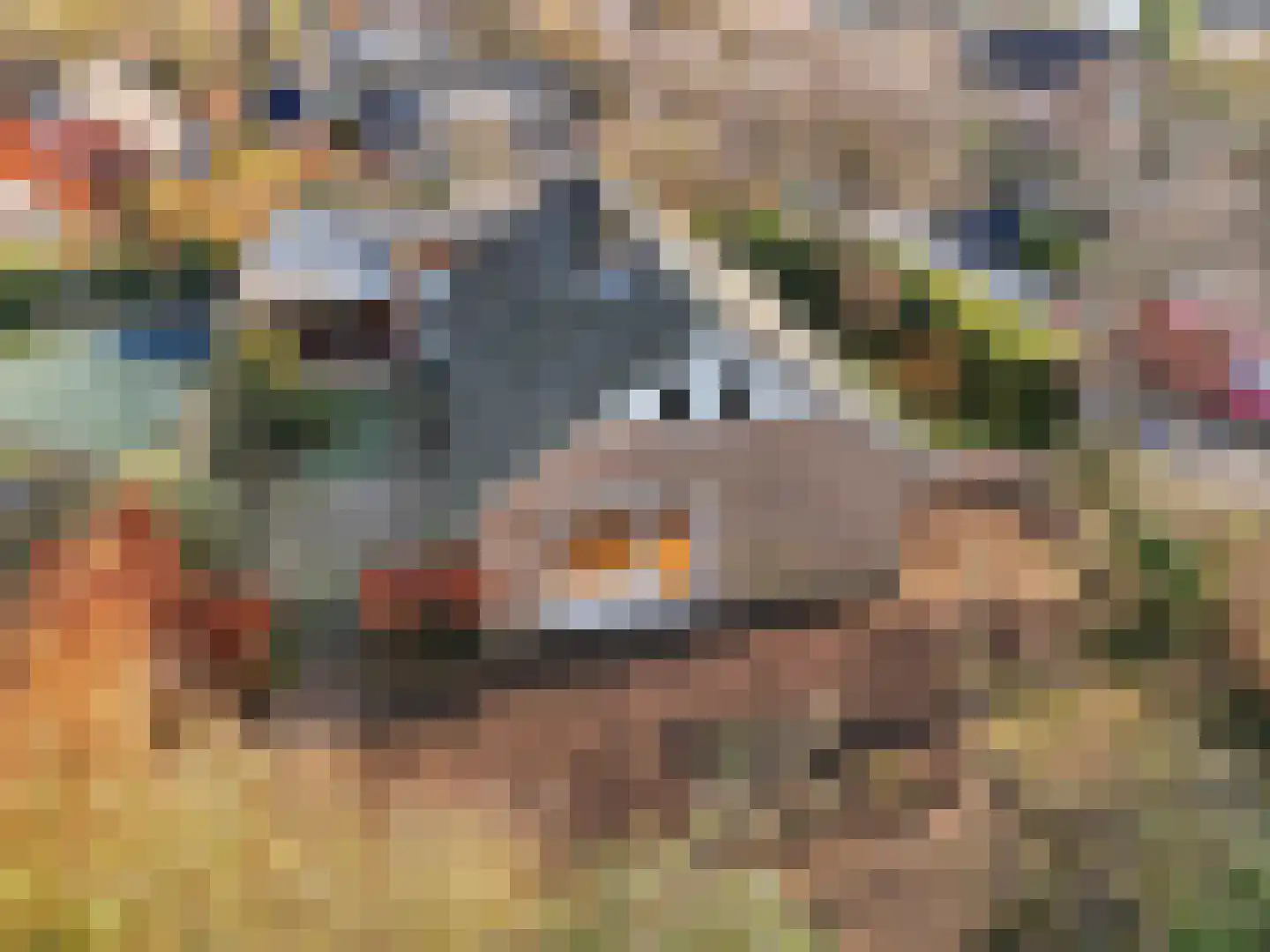 Torenlaan 5 Warnsveld thumbnail 37
