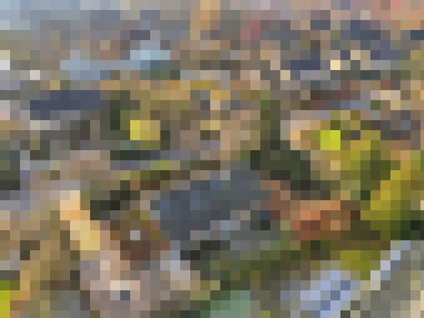 Torenlaan 5 Warnsveld thumbnail 42