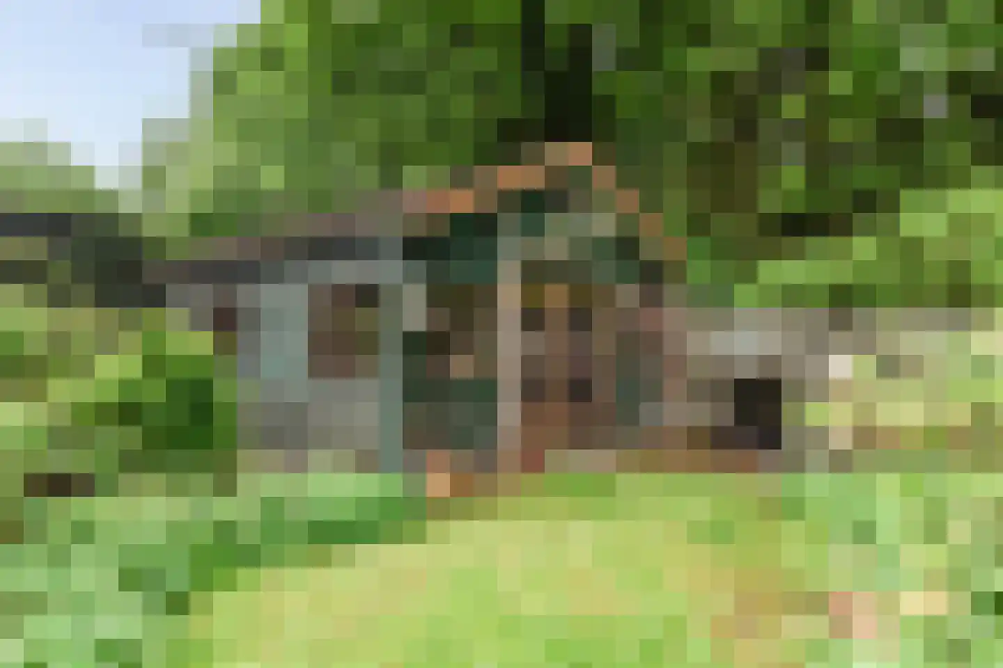 Torenlaan 53 Blaricum thumbnail 30