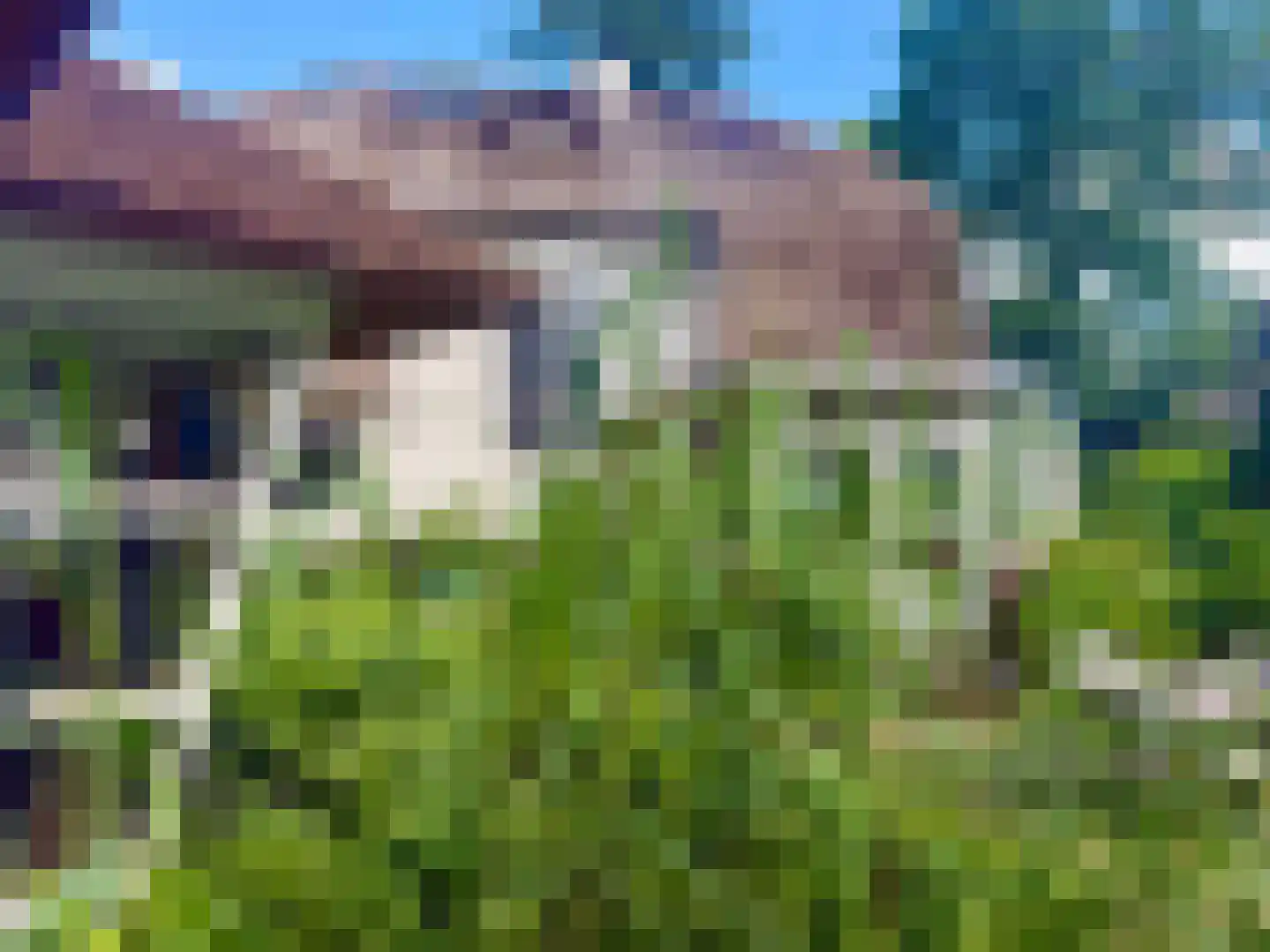 Torenlaan 53 Blaricum thumbnail 4