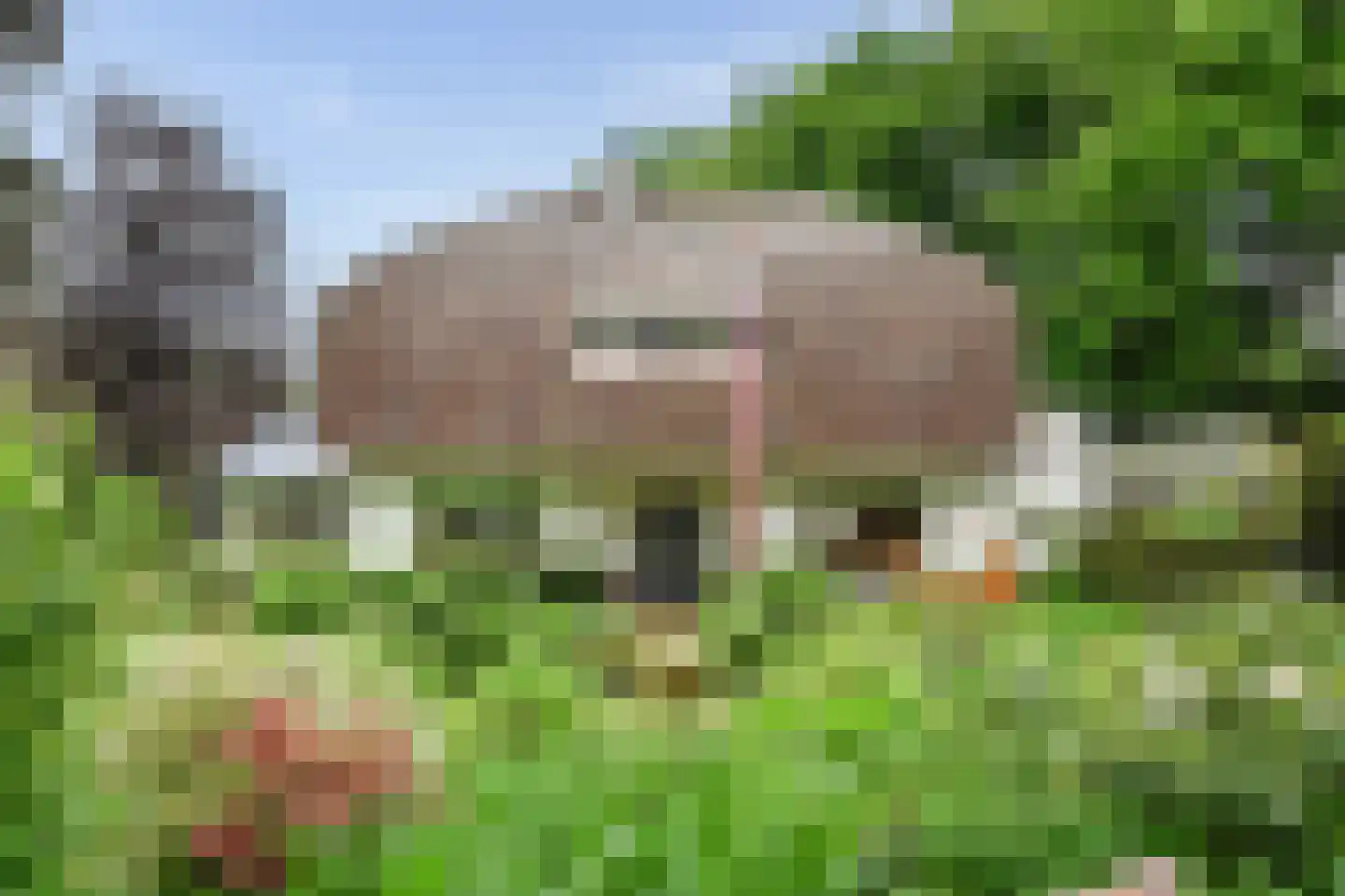 Torenlaan 53 Blaricum thumbnail 5