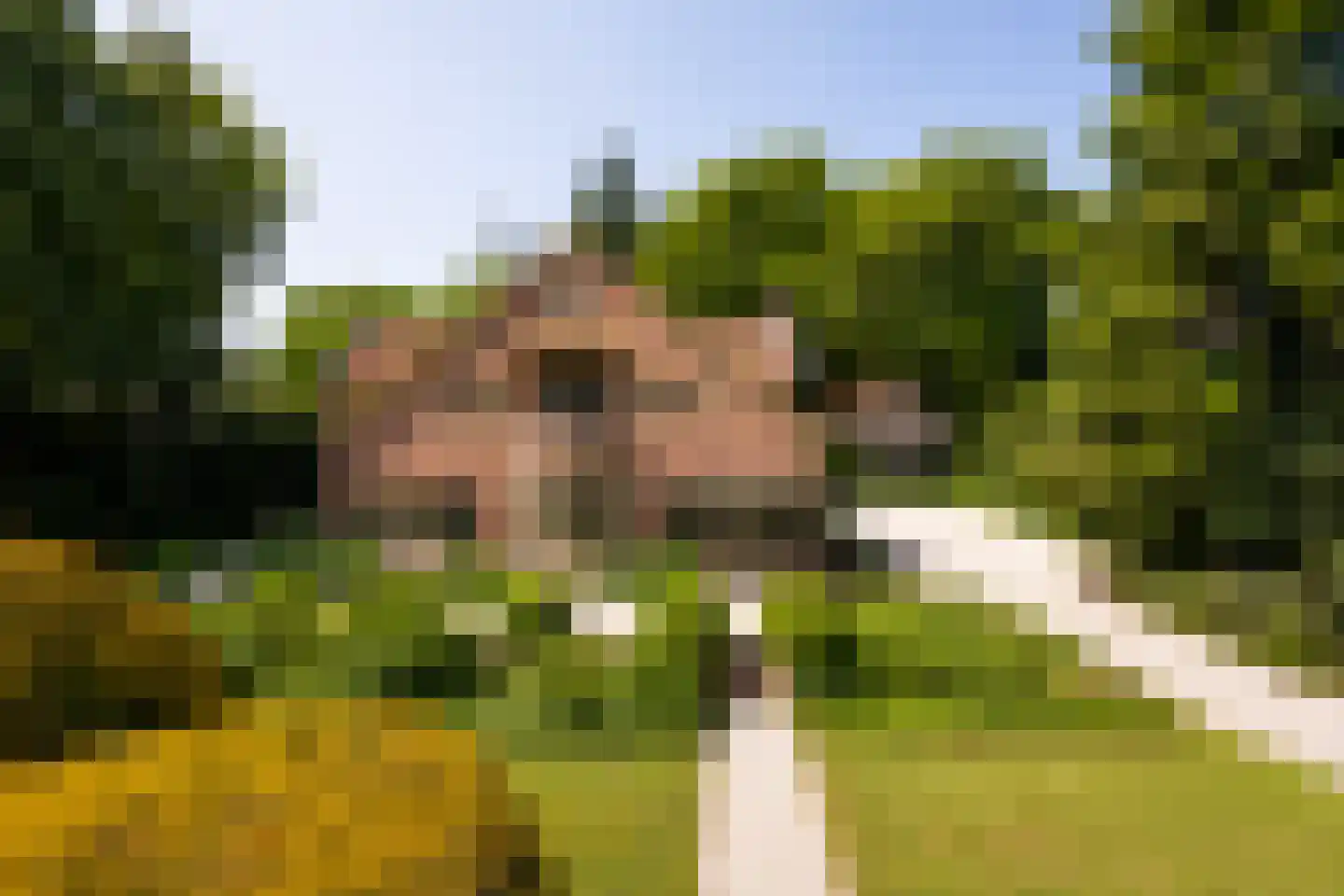 Torenlaan 57 in Laren