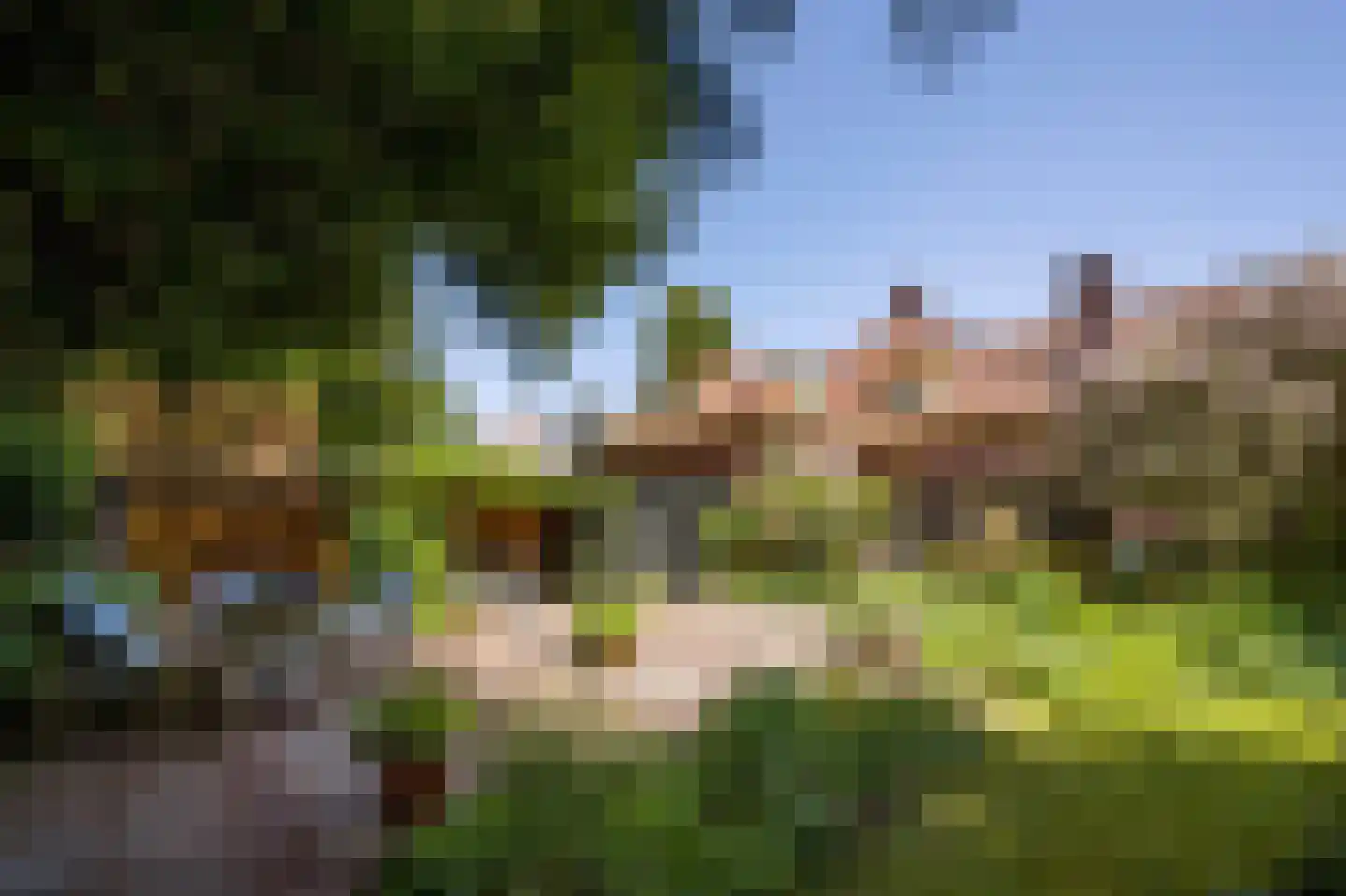 Torenlaan 57 Laren thumbnail 29