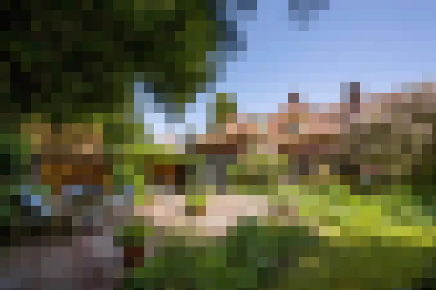 Torenlaan 57 Laren thumbnail 36