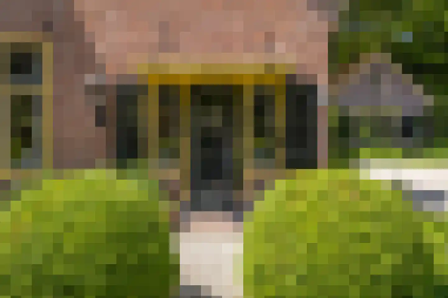 Torenlaan 57 Laren thumbnail 4