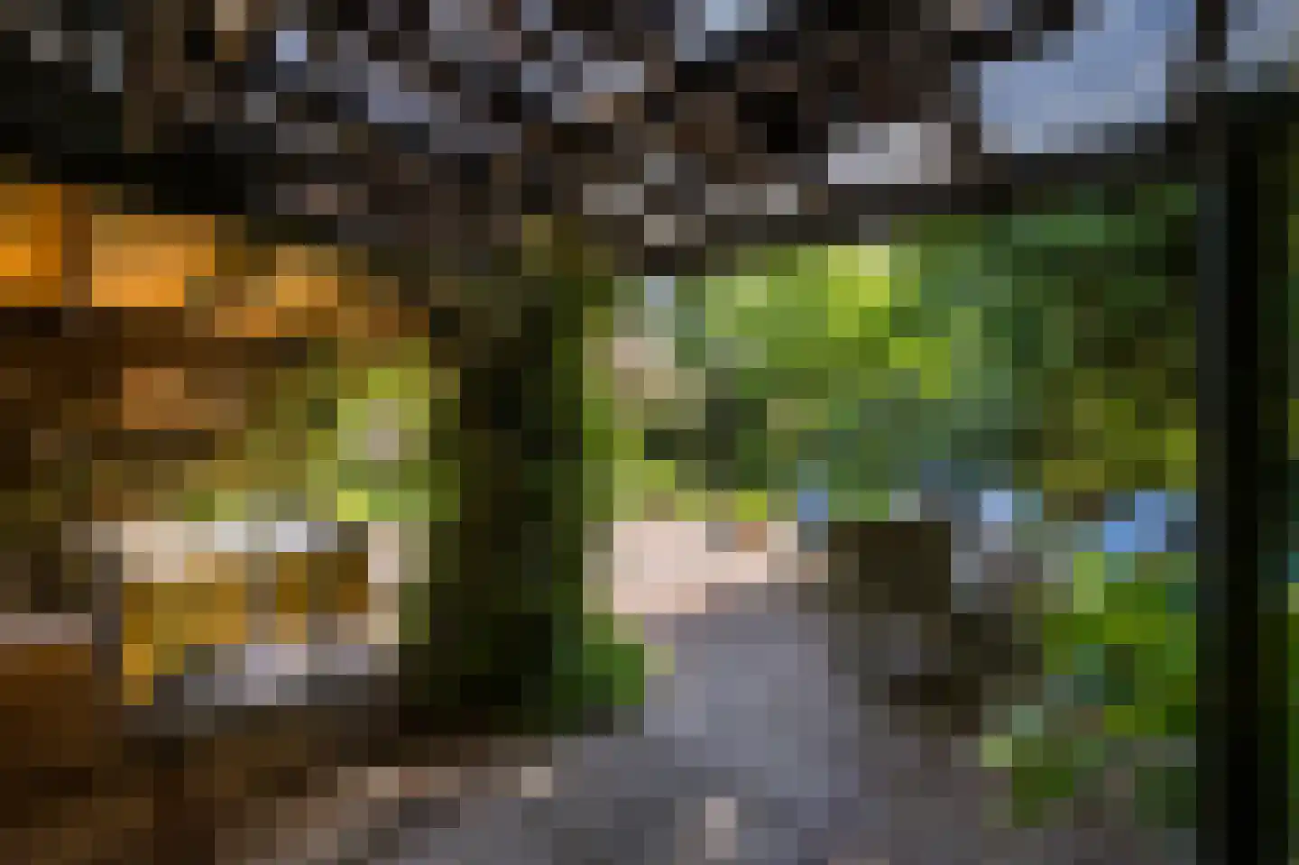 Torenlaan 57 Laren thumbnail 40