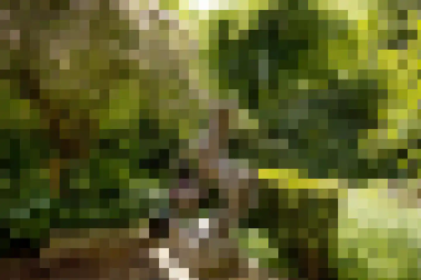 Torenlaan 57 Laren thumbnail 41