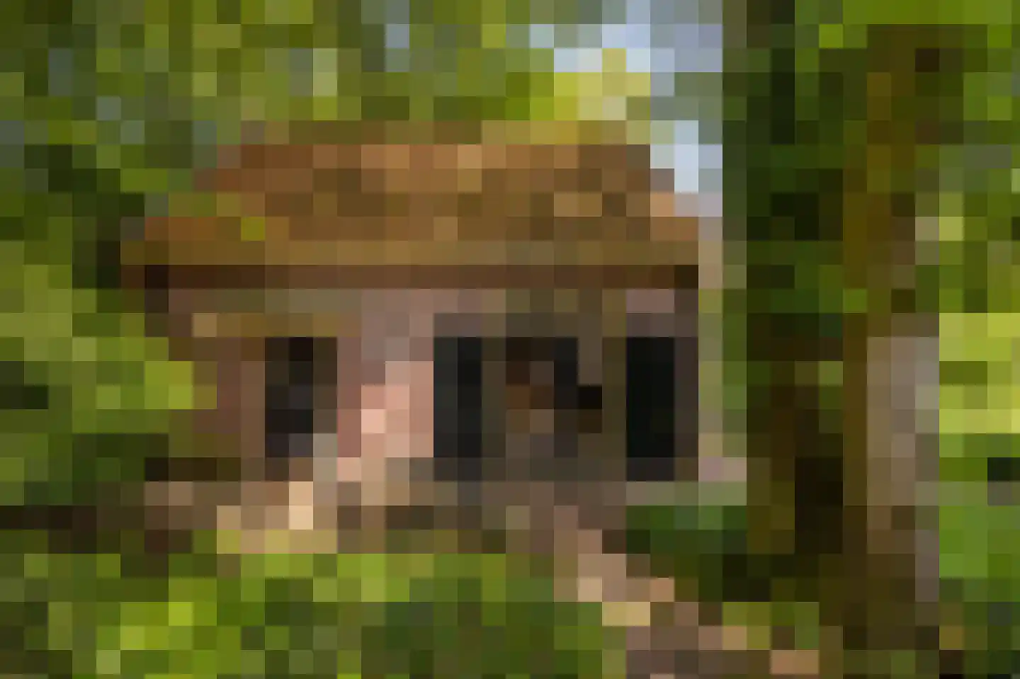 Torenlaan 57 Laren thumbnail 46