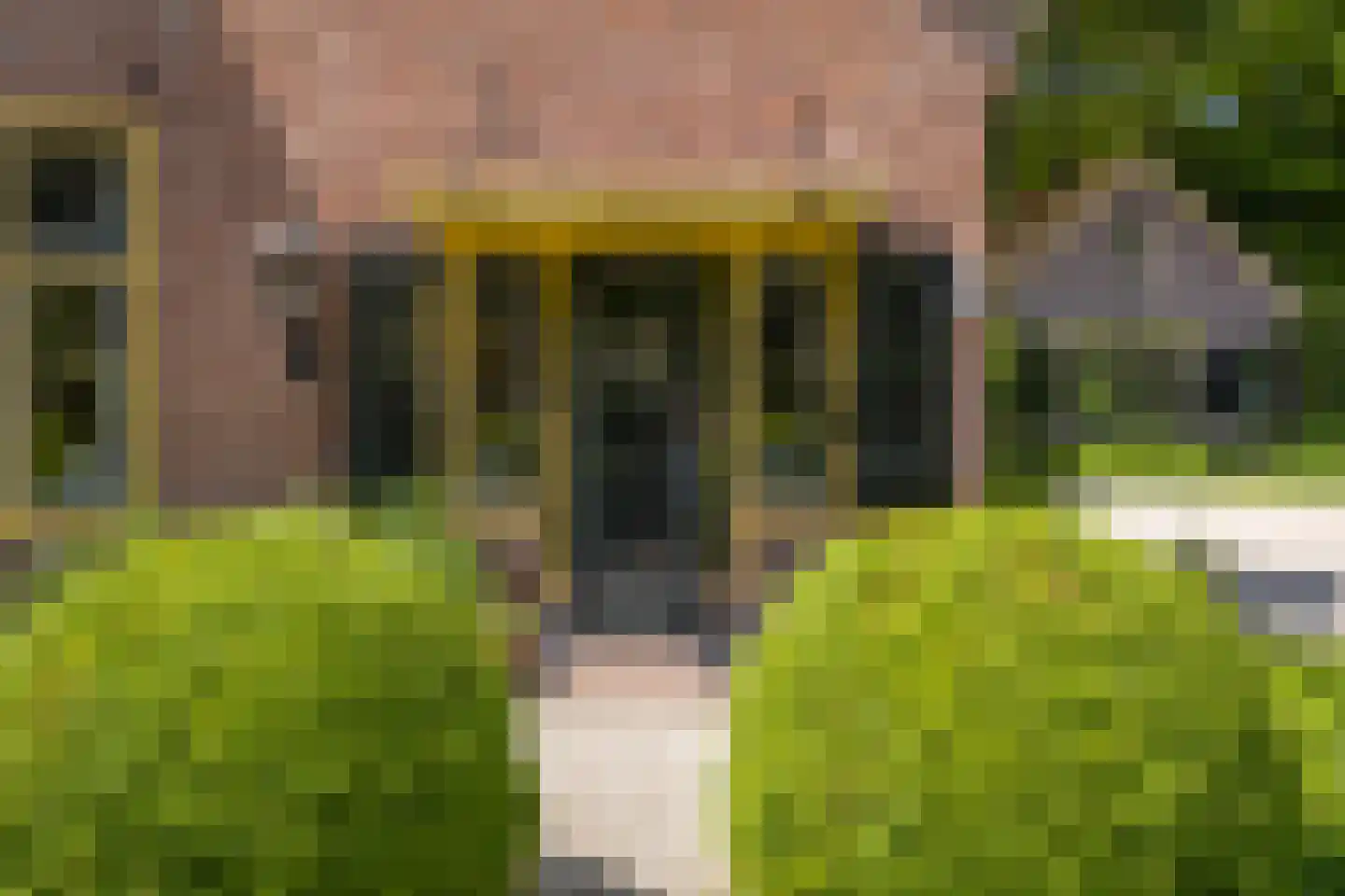 Torenlaan 57 Laren thumbnail 7