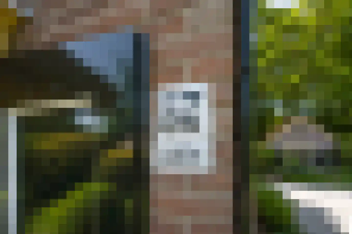 Torenlaan 57 Laren thumbnail 7