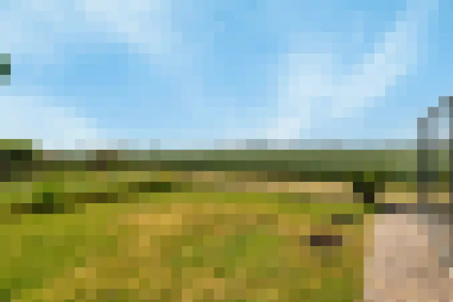 Torenlaan 57 Zuid-Beijerland thumbnail 21