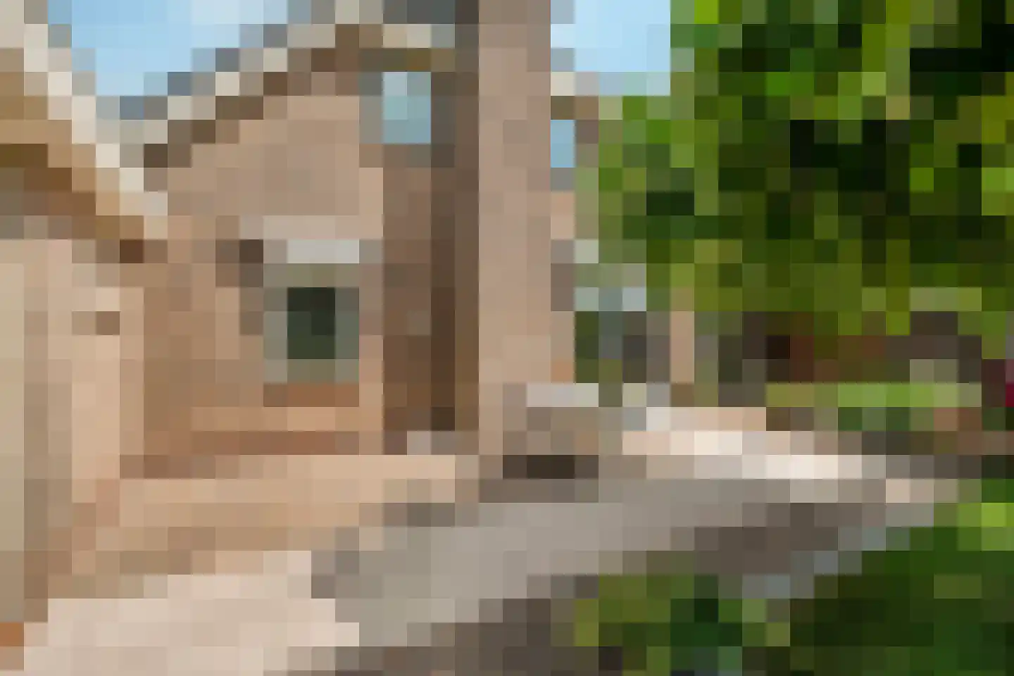 Torenlaan 57 Zuid-Beijerland thumbnail 25