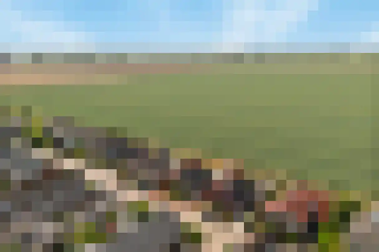Torenlaan 57 Zuid-Beijerland thumbnail 4