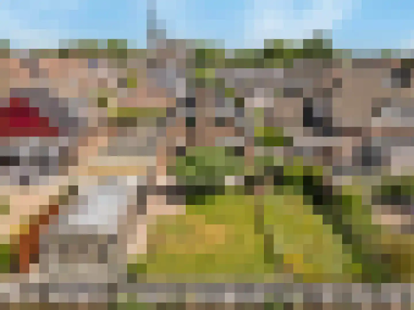 Torenlaan 57 Zuid-Beijerland thumbnail 50